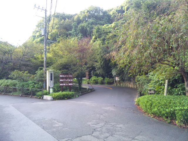 SH3H0641.jpg