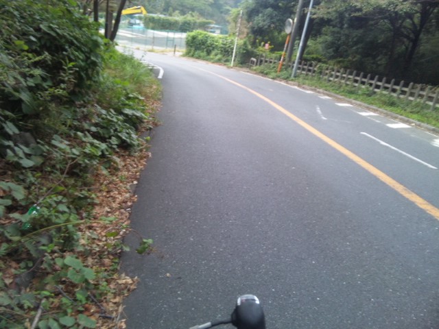 SH3H0725.jpg