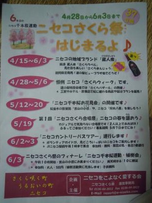 niseko senbonsakura2012 1