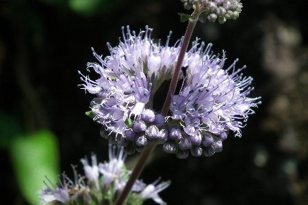 140928_07.jpg