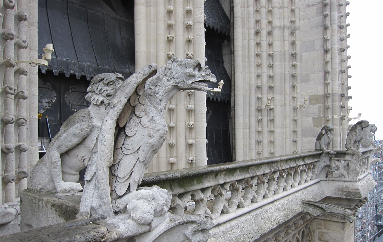 ノートルダム大聖堂（パリ）の怪物 | SHIRO散策