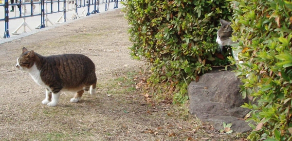 西1
