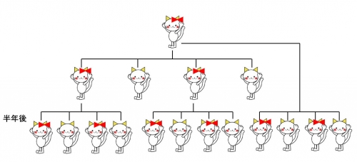 ねこ算