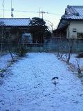雪景色20120218 (3)