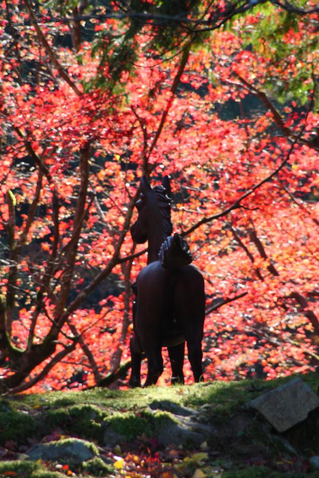養父神社 紅葉3