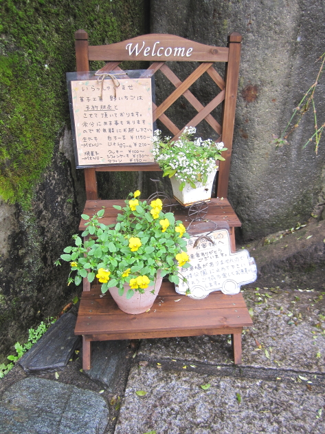 野いちご5