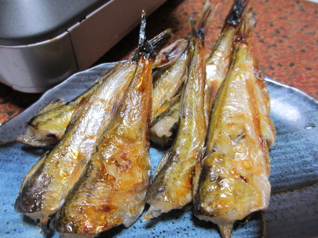 大阪屋14