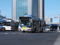DSCF8845.jpg