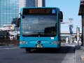 DSCF8847.jpg