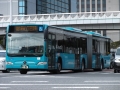 DSCF8911.jpg