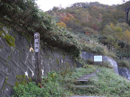 RICOH R10