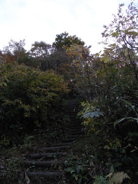 RICOH R10