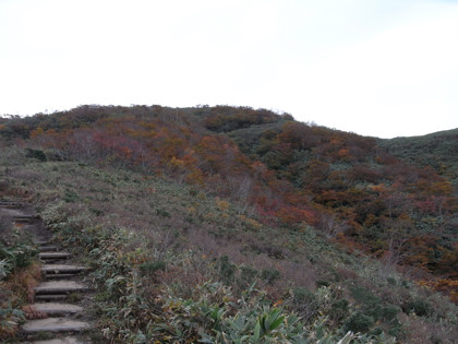 RICOH R10