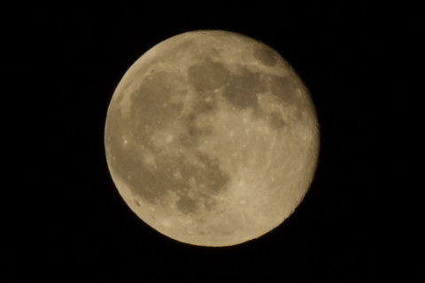LUMIX DMC-G2 & AF-S VR Zoom Nikkor ED 70-300mm F4.5-5.6G (IF)
