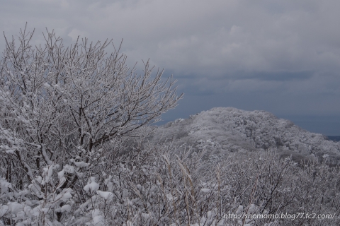 OM-D E-M5 & M.ZUIKO DIGITAL ED 12-50mm F3.5-6.3 EZ