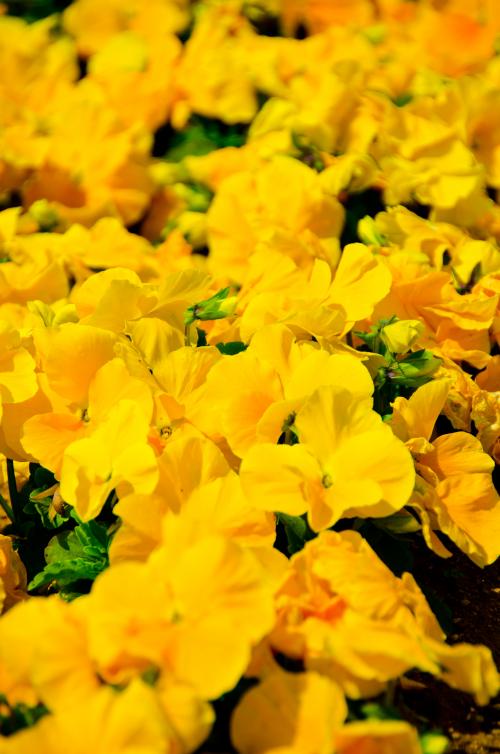20120402_1073_edited-2_convert_20120404064436.jpg