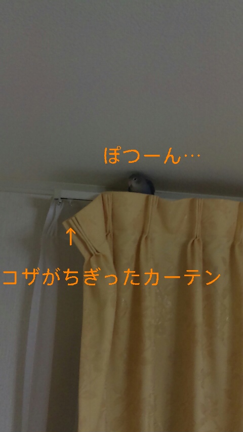 111202_023139_ed.jpg