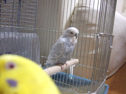 11_20120123010716.jpg