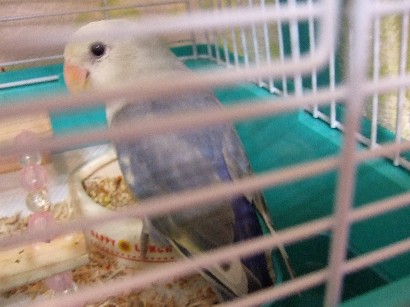 11_20120211205925.jpg