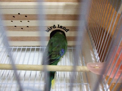 12_20120429011026.jpg