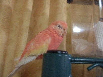 13_20120301095029.jpg