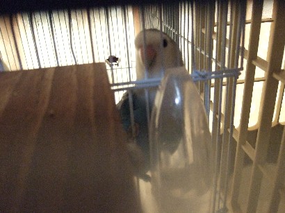 13_20120427115434.jpg