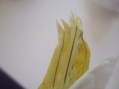 14_20120406011041.jpg