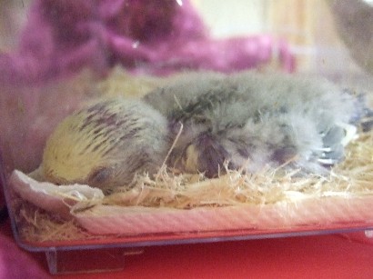 14_20120501165010.jpg