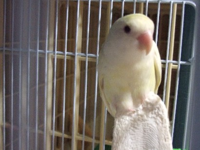 1_20120222001557.jpg
