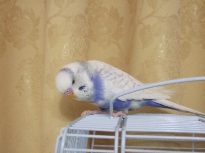 20_20120324000411.jpg