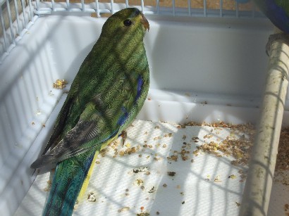 3_20120321115919.jpg