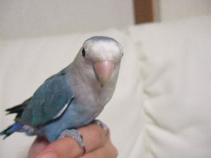 4_20120330232217.jpg