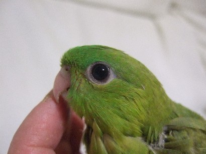 5_20120423005035.jpg