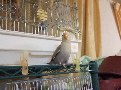 6_20120228090318.jpg