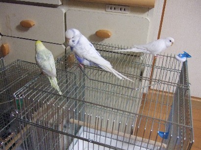 8_20120123010304.jpg