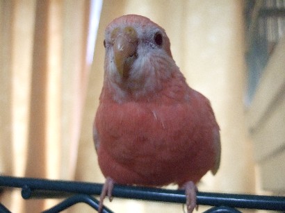 8_20120225114720.jpg