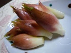 みょうがです