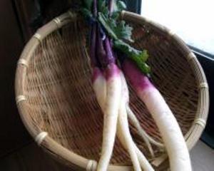 日野菜束