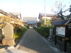 P1250141.jpg
