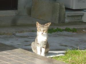 P1250417.jpg