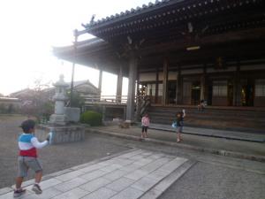P1250461.jpg