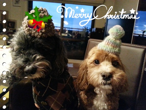 20131223_164714.jpg