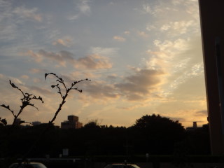 新宿の夕日
