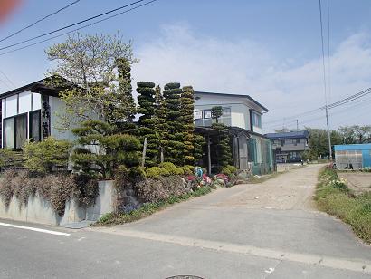 P50603331.jpg