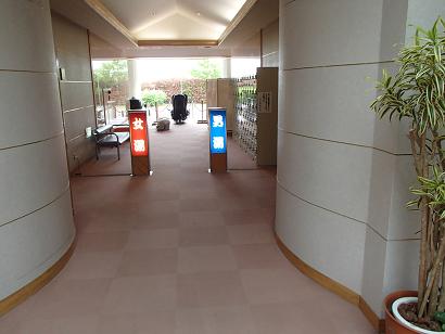 P52605461.jpg