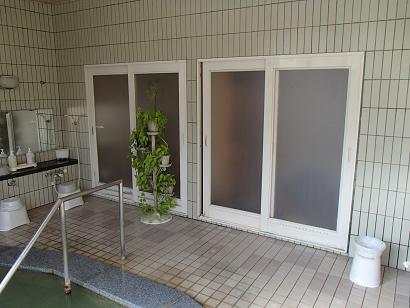 P60807491.jpg