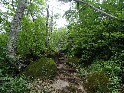 P62911811.jpg