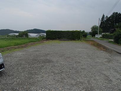 P71312561.jpg
