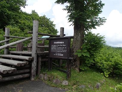 P71413661.jpg