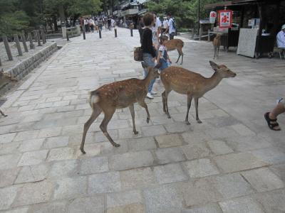 s-IMG_5920.jpg